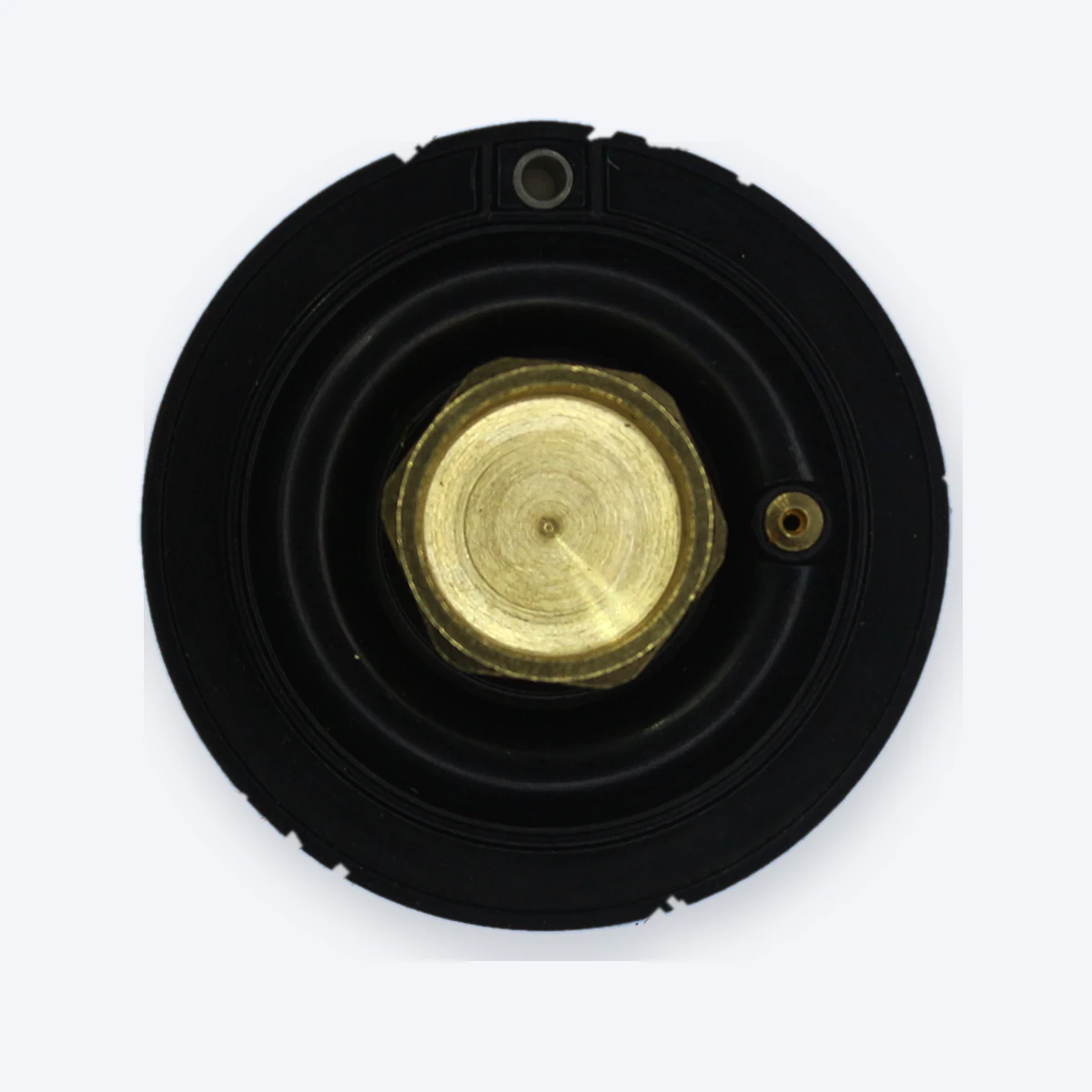 FG 1/2'' Selenoid Valf Diyaframı